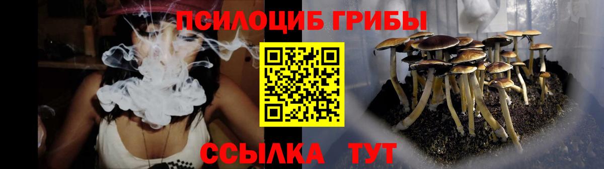 Псилоцибиновые грибы ЛСД  Вход с VPN  Светлоград  Галлюциногенные грибы Magic Shrooms 